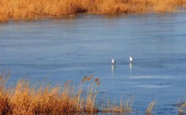 2023年冬至是哪一天(2023冬月二十二是几月几日) 2023年冬至是哪一天(2023冬月二十二是几月几日)