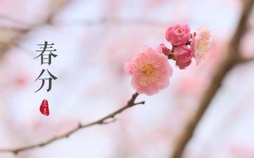 2023年春分节气是几月几日 2023年春分是几月几号