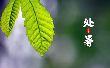 2023年处暑公历几月几号什么星座