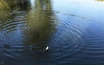 2023年大暑搬迁适宜吗 入宅适宜吗 2023年大暑搬迁适宜吗 入宅适宜吗