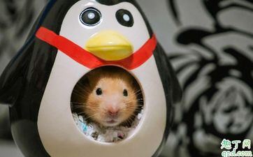 入宅择日 2023年阴历八月属鼠最佳入新宅好日子