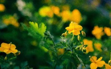 2023年5月21日小满安大门日子怎么 是吉祥的安门日吗