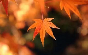 2023年9月23日秋分领证好不好 这天挂号成婚吉利吗