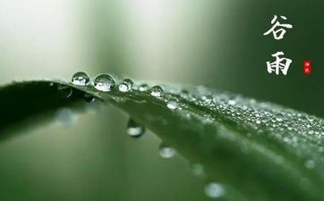 2023年谷雨是何时几分几秒 这天要喝谷雨茶 2023年谷雨是何时几分几秒 这天要喝谷雨茶