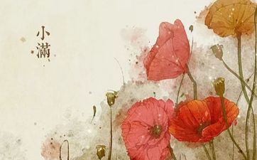 2023年小满的涵义 小满不满 干断田坎