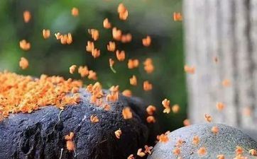 2023年夏至冬至春分秋分时刻