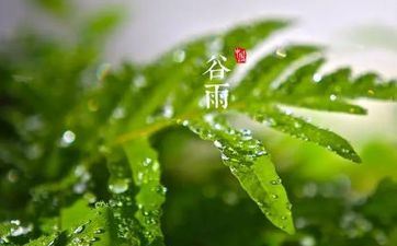 2023年谷雨能够理发吗 此节气的摄生