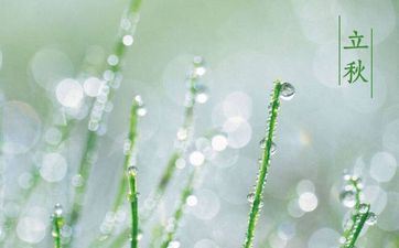 2023年立秋后天坑在哪个方位 立秋天的风俗大不同