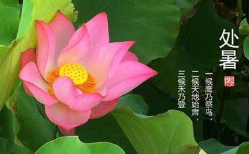 2023年处暑往后是不是就不热了