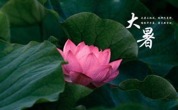 2023年大暑能不能剪头发 剪头发的时分要注意这些工作