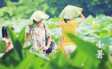 2023年小暑案牍祝愿语