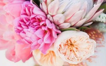 2023崇明花朝节活动组织时刻表