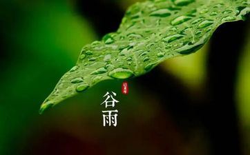 2023年谷雨前后出世的虎宝宝命好吗 福禄终身
