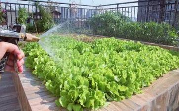 2023年处暑时刻 2023年几点处暑时刻