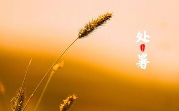 大暑节气发朋友圈的简略案牍2023年