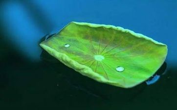 2023年小暑气温 2023年小暑前有雨吗 出门要留意防汛