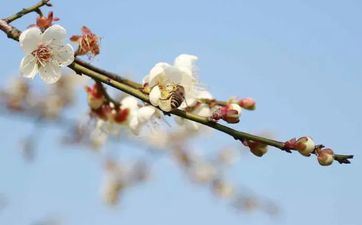 2023本命年躲春几点到几点 本命年躲春化岁