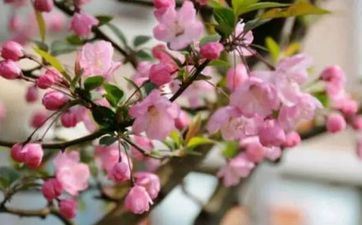 入宅好日子 2023年阴历正月初五日子好吗