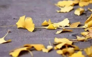 2023年处暑的详细时辰是几月几号几点几分？