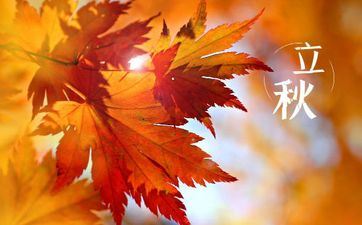 2023年立秋往后出世的虎宝宝涵义 多预备一些照料孩子的典礼感