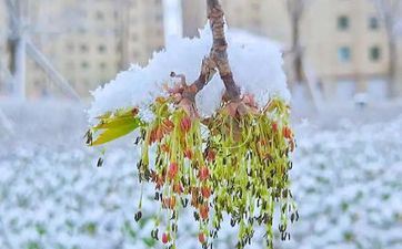 2023年谷雨是哪天哪日 谷雨是哪天几点几分 2023年谷雨是哪天哪日 谷雨是哪天几点几分