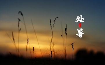 2023年处暑交节是什么时分？处暑还热吗