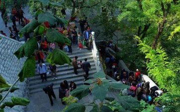 2023年重阳节给白叟入土为安典礼能够吗 重阳节白叟一般有什么风俗