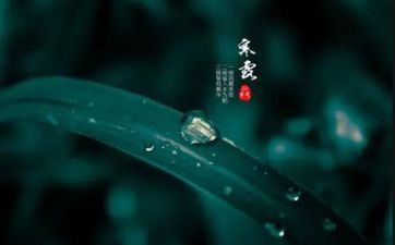 2023年寒露是黄道好日子吗 这天时辰吉凶查询