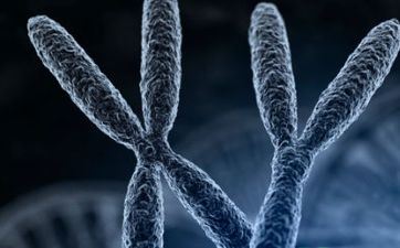 2023年大暑出世的虎宝宝好吗 五行喜水命格解读