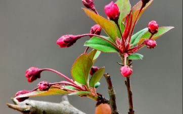 2023年立春出世好吗 宝宝可以升官发财