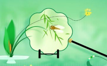 2023年夏至便是入伏吗 2023年夏至是什么时分