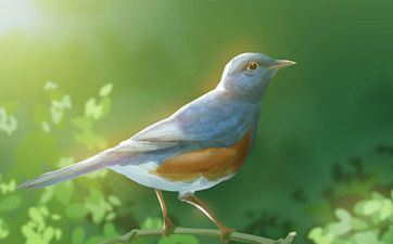 2023年春分是几月几号 2023年什么时候春分