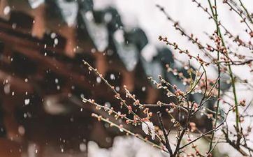 躲春2023详细时刻 2023年躲春几点到几点 立春晚上的9点到清晨1点。