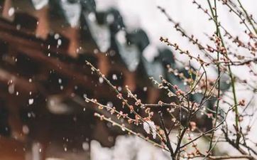 2023年哪些属相躲春几点到几点 躲春时刻查询