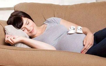 2023兔年谚语有哪些？2023是什么兔年