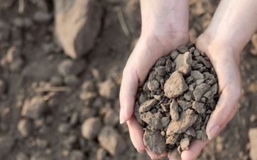 2023年闰二月是什么月 闰二月出世的孩子命运 2023年闰二月是什么月 闰二月出世的孩子命运