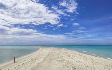 2023年立夏是几月几号 2023年什么时候立夏