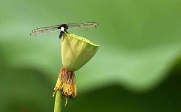 2023年夏至是几点几分几秒 2023年夏至是哪天