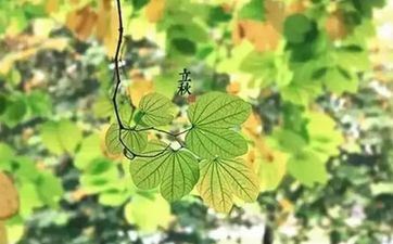 2023年立秋是几月几号？立秋是哪一天？