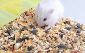 搬迁老黄历 属相鼠2023年10月搬迁哪几天适宜