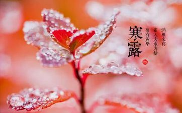 2023年10月8日寒露老黄历宜忌 今日是什么日子