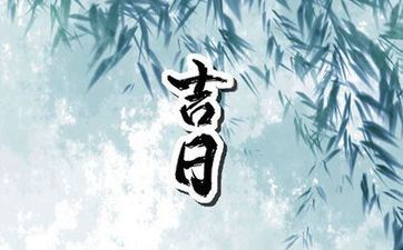 2024年2月28日打牌能赢的方位 2024年2月28日今天打牌坐哪个方向赢