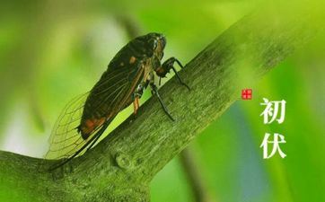 2023年夏至是什么时分 夏至是什么时分