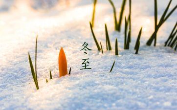 2023年冬至前后立石碑哪一天最好 点穴方位要共同