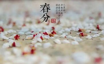 2023年二月三十春分前一天出世的男孩命运好吗