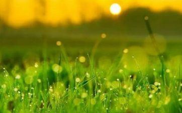 2023年白露前是算7月仍是8月 2023年白露的详细时刻