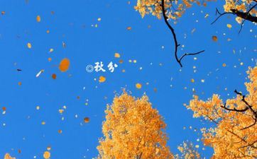 2023年雨水节气前后一周生男孩仍是女孩