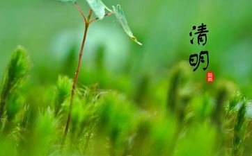 清明节当天过生日有什么要注意的？清明节办寿宴能够吗