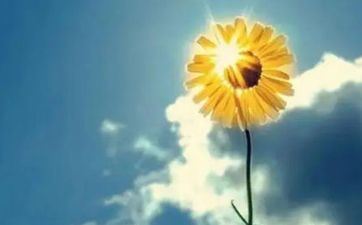 2023年清明节能够迁坟吗 这个节气有什么风俗 2023年清明节能够迁坟吗 这个节气有什么风俗