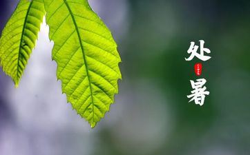 2023年处暑是节气中的啥意思(3篇)